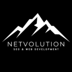 Netvolution Logo 2024