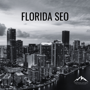 Florida SEO - Search Engine Optimization - Netvolution