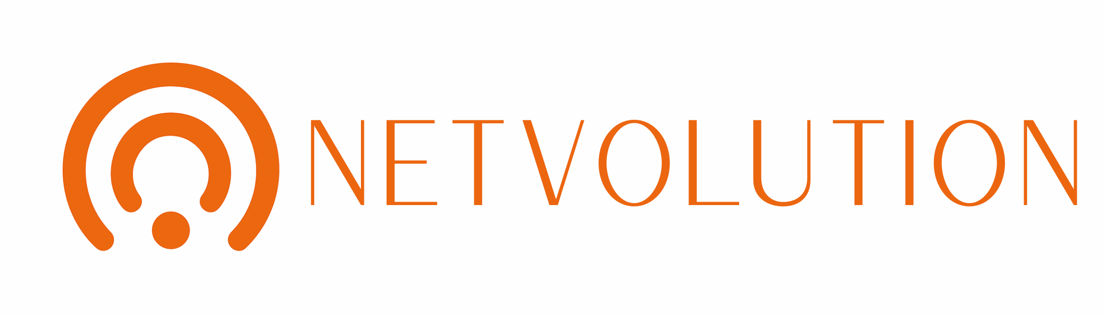 Netvolution Logo 2026 (Blog Banner)